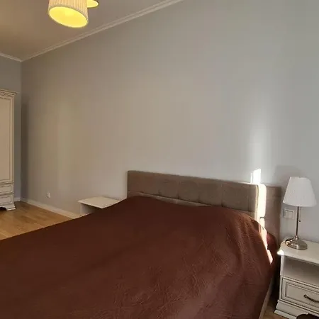 Apartment Kalnina Street In Centre